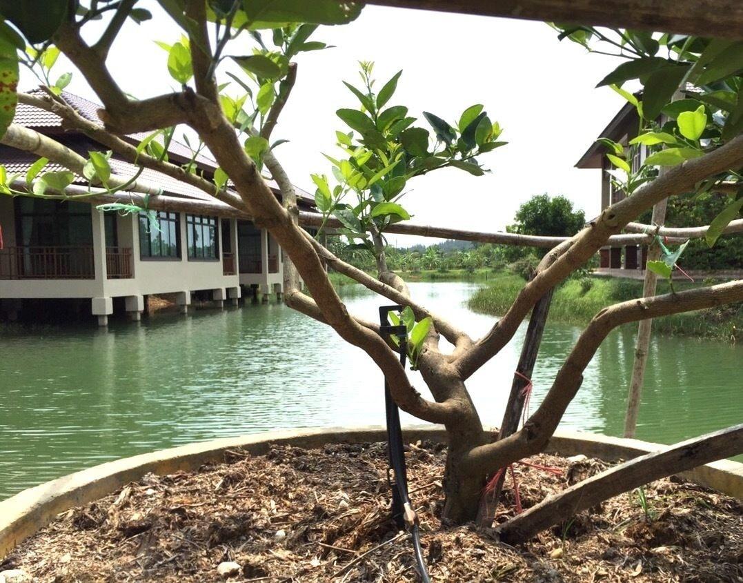 Lantala Residence Takua Thung Luaran gambar