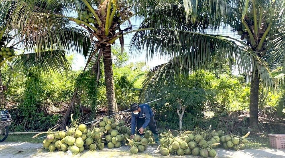 Lantala Residence Takua Thung Luaran gambar