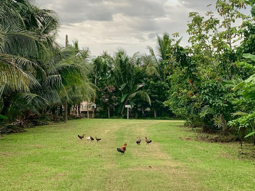 Lantala Residence Takua Thung Luaran gambar